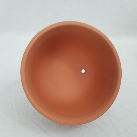 Boston Warehouse Terracotta Garlic Baker 2 bulb capacity - Picture 10 of 11